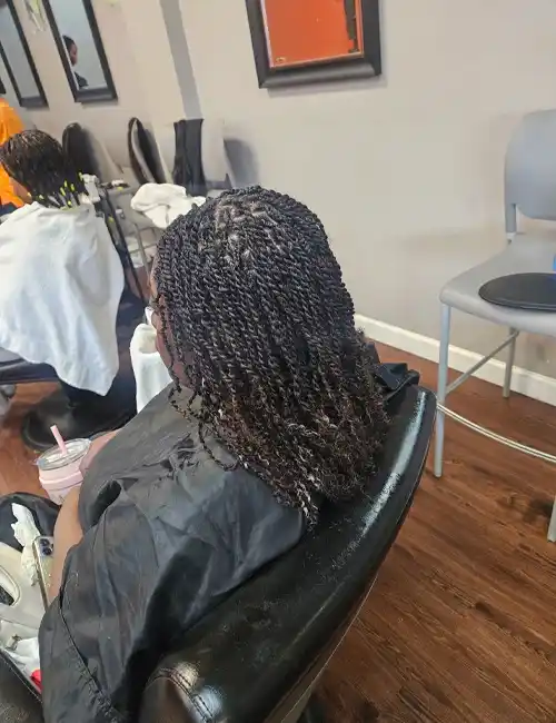 Mini Twists