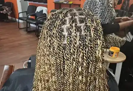 Blonde Carmel BoxBraids Blonde and Carmel Box Braids