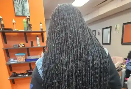 Senegalese Twists Senegalese Twists